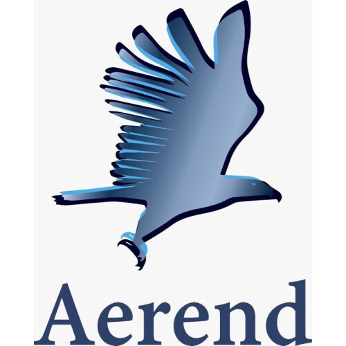 Aerend - 12 LED Theelichtjes