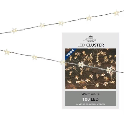 Anna's Collection - Kerst Zilverraadverlichting - 100 LED's - Timer - Warm Wit - 1.2 meter