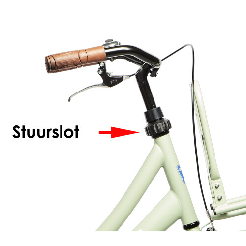 Antilope Transport Meisjesfiets 26 Inch Mat Lichtgroen