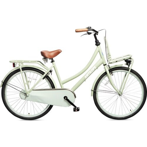 Antilope Transport Meisjesfiets 26 Inch Mat Lichtgroen Tweedehands