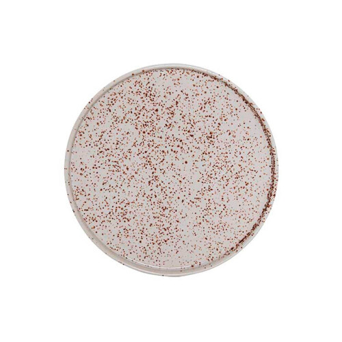 Bloomingville Sui - Gebaksbord - Porselein - Offwhite met bruin gespikkeld dessin Tweedehands