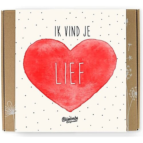 Blossombs Zaadbommetjes Gift Box Medium - Lief Tweedehands