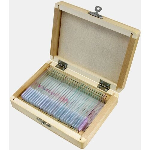 Bresser Microscoop Preparaten 30 Stuks, Histologie Geen Kleur Tweedehands
