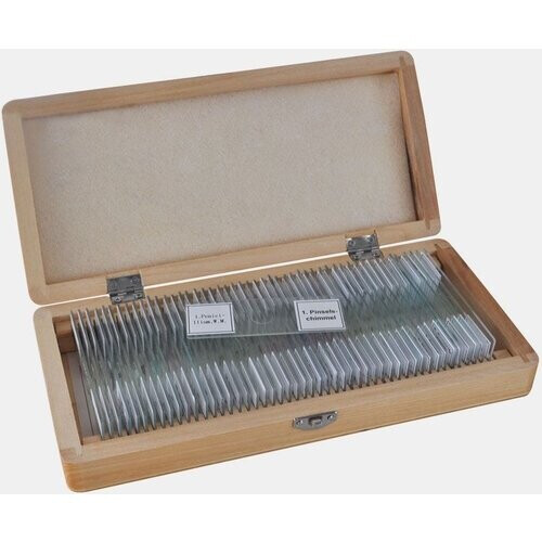 Bresser Microscoop Preparaten 50 Stuks Geen Kleur Tweedehands