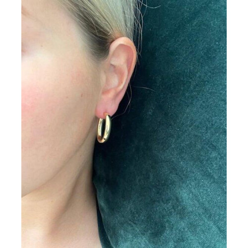 Casa Jewelry Class S - Oorringen - Goud verguld - 2,5 cm