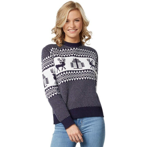 Dressforfun Winterwonderland - Kersttrui - Hertenmotief - Blauw-wit (S)