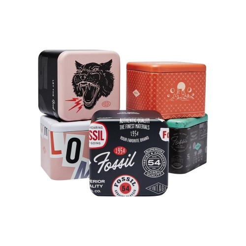 FOSSIL FS6062 - Heren Horloge - Duikstijl 20 ATM - Zilverkleurig Tweedehands