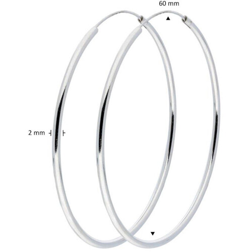 Glowdraadoorringen - 107.0002.60 -Ø60 mm - ronde buis - zilver