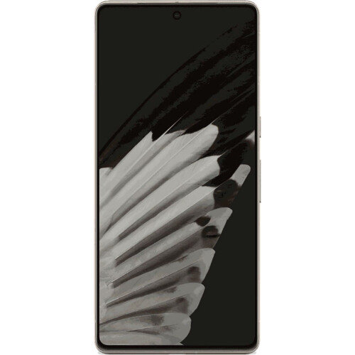 Google Pixel 7 Pro - Smartphone - 128GB opslag - Grijs