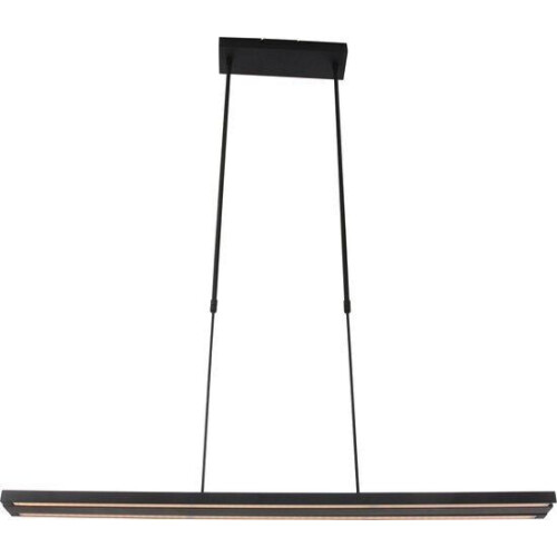 Hanglamp Steinhauer Zelena LED - Zwart