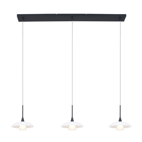 Steinhauer Tallerken 2654ZW - Hanglamp - Hoogte Verstelbaar 3 lichtpunten - Zwart Tweedehands