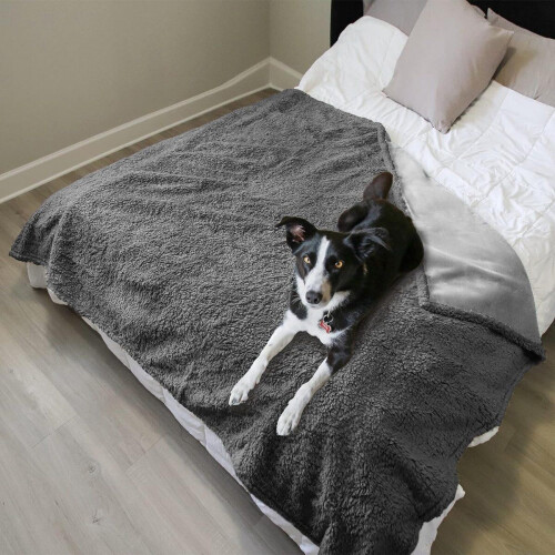 Hondendeken waterdicht, wasbaar hondenbed pluche en antislip waterdicht met superzachte sherpa hondenmat huisdierdeken voor hond puppy's kat binnen buiten bank bank 203 x 152 cm