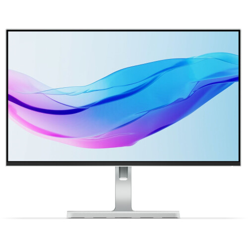 Lenovo L24m-4A - Monitor - 23,8"Full HD 100Hz IPS - Grijs Tweedehands