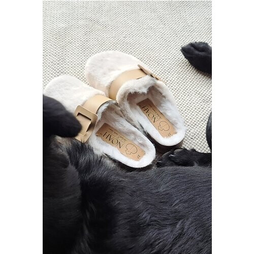Noah dames vegan Indoorschoenen Joelina Wit Tweedehands