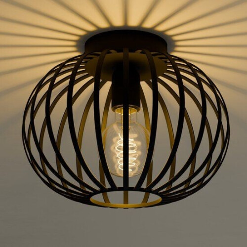 Nolt Plafondlamp - Plafonniere E27 Lamp - Industrieel - ⌀ 25cm - Zwart