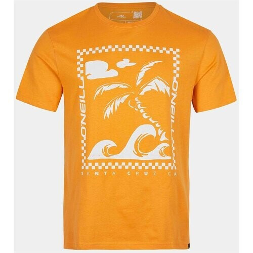 O'Neill Fin T-Shirt T-Shirt Ss Geel Tweedehands