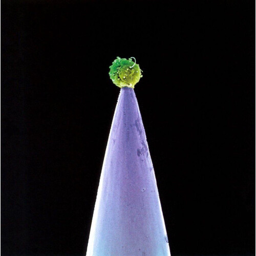 Peter Gabriel - New Blood - CD met krasjes (2 stuks) Tweedehands