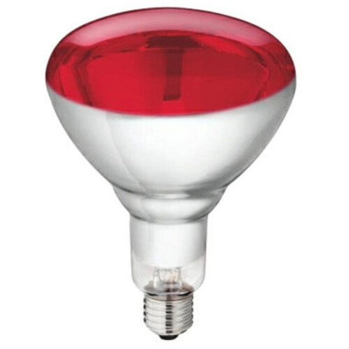 Philips BR125 - Infraroodlamp E27 250W 230V - Warmtelamp Rood Licht