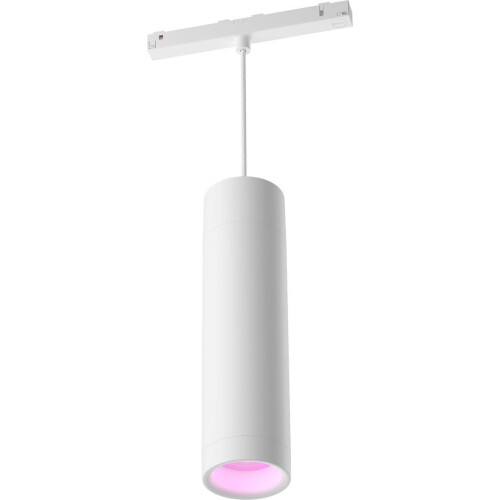 Philips Hue Perifo - Hanglamp - Slimme verlichting 16 miljoen kleuren - Wit