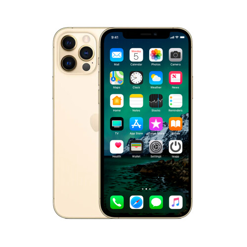 Refurbished iPhone 12 Pro Max 256 GB Goud Als nieuw + Nieuwe batterij Tweedehands