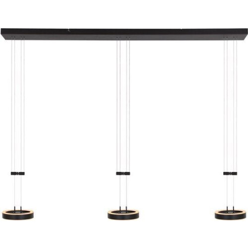 Steinhauer - hanglamp - Piola - zwart - acryl metaal - design lamp - LED - 3501ZW