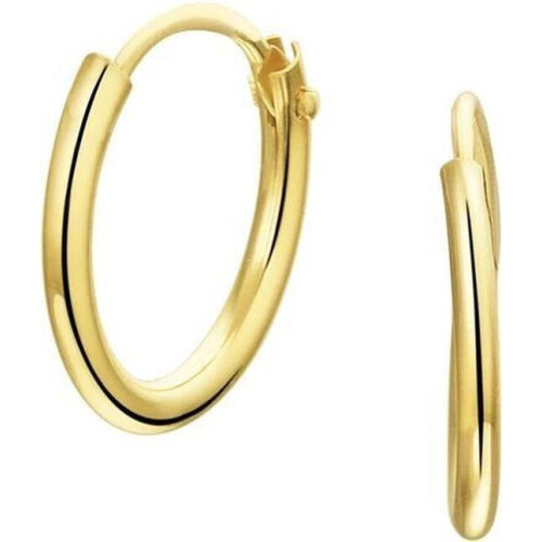 The Jewelry Collection - Oorringen - Ronde Buis - Goud - 13mm Tweedehands