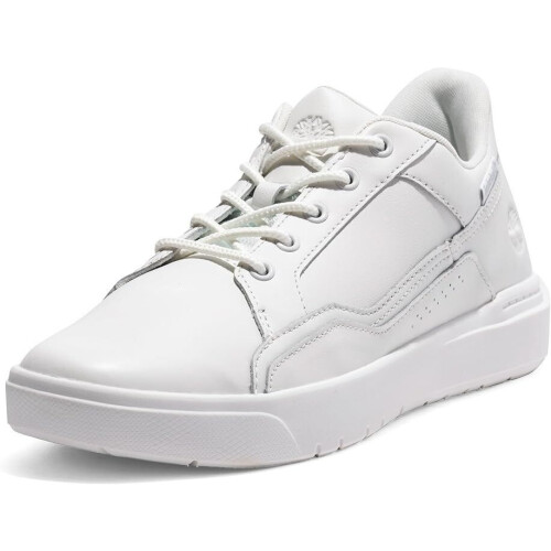 Timberland Homme Allston Basket - Sneaker - Dempende EVA-inlegzool - Wit