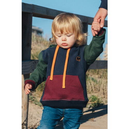 Trendsplant unisex vegan Kinderhoodie Color Block Blauw Groen Rood Tweedehands