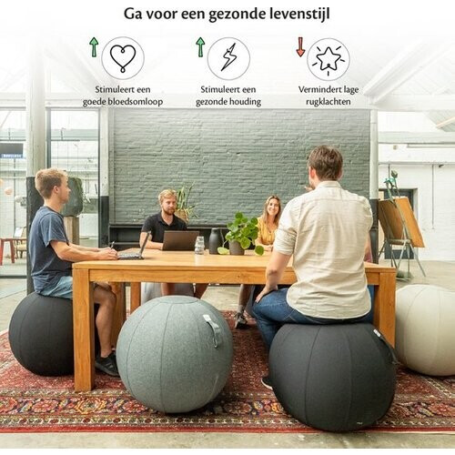 Tweedekans Bckz Zitbal Kantoor en Thuis 75 CM - Luxe Yoga Bal - Zitballen met Hoes - Ergonomische Bureaustoel Bal - Linnen Antraciet Tweedehands