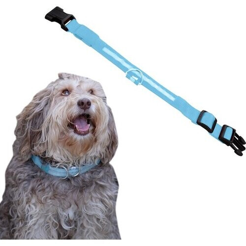 Tweedekans Dutchwide Lichtgevende Honden Halsband - M 37-46 cm - LED - Oplaadbaar Tweedehands