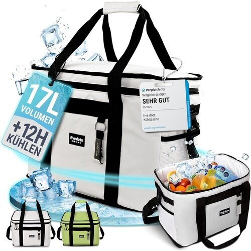 Tweedekans Five Dots Koeltas - 17L - Grijs - 25 x 33 x 20 cm Tweedehands