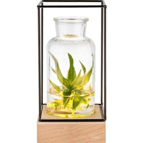 Tweedekans Gadgy Vaas met LED Verlichting - Vaaslamp - Glazen Vaas met Lamp - Moederdag Cadeautje - Hydroponie - Werkt op Batterijen – Tafellamp  - Ø11 cm Tweedehands