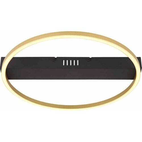 Tweedekans Globo Gunther Plafondlamp - Metaal - LED - 40 cm - Dimbaar - Zwart Tweedehands
