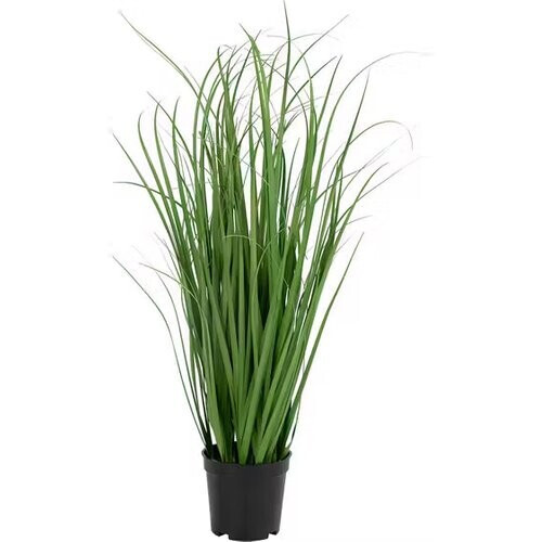 Tweedekans House Nordic Kunstplant Poa Groen - Hoogte 68 cm, Diameter 30 cm Tweedehands