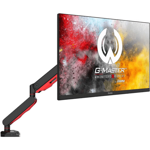 Tweedekans iiyama DSG3001C-R1 Tweedehands