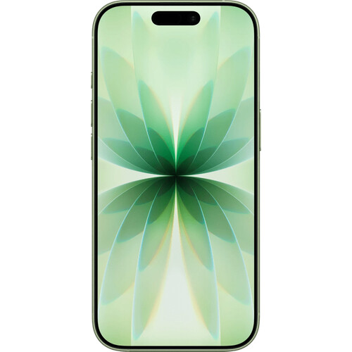 Tweedekans iPhone 17 256GB Tweedehands