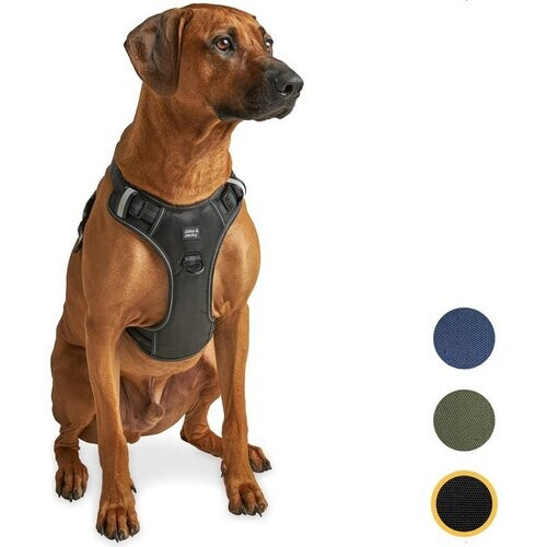 Tweedekans Jake & Jacky Hondentuig – Anti-Trek Y-tuig met Reflecterende Naden – Maat L – Zwart Tweedehands