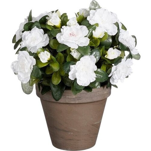 Tweedekans Mica Decorations Kunstplant - Azalea - Wit - in pot - 31 cm - nepplanten Tweedehands