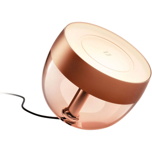 Tweedekans Philips Hue Iris White and Color Special Edition Koper Tweedehands