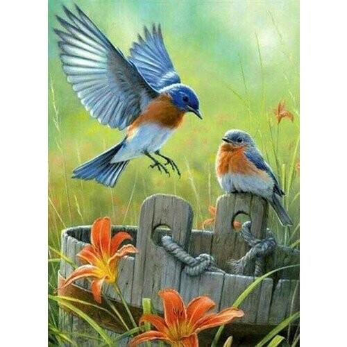 Tweedekans Rubye® Diamond Painting Volwassenen - Diamond Painting Kinderen - Diamond Painting Pakket Volledig - Vogels en Bloemen - 40x50cm Tweedehands