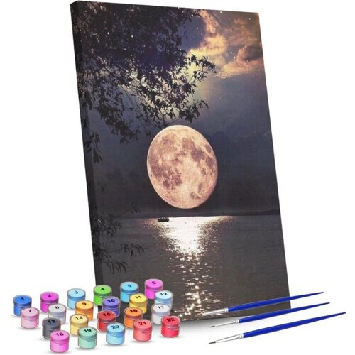 Tweedekans Rubye® Schilderen Op Nummer Volwassenen 40 x 50 cm – Canvas Schildersdoek Inclusief Penselen – Volle Maan Tweedehands